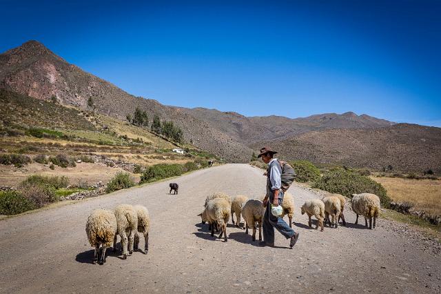 16 Colca Canyon.jpg